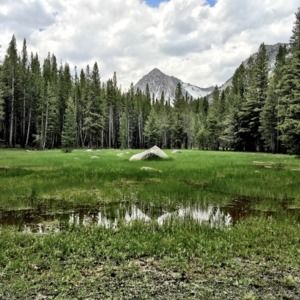 Meet your Posher, Julie